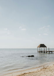 Villa Blanca: Private Beachfront, Kayaks & Cenote Nearby image 25