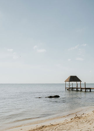 Villa Blanca: Private Beachfront, Kayaks & Cenote Nearby image 25