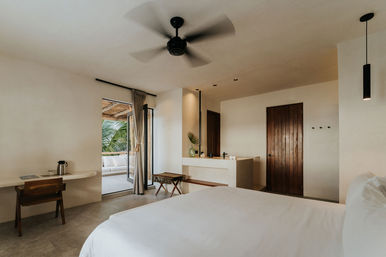 Villa Blanca: Private Beachfront, Kayaks & Cenote Nearby image 15