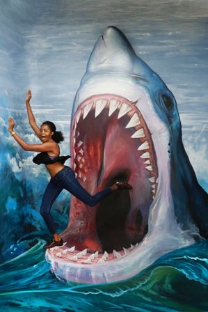 Museum of 3D Illusions: Museum, Plate Smashing & More image 3