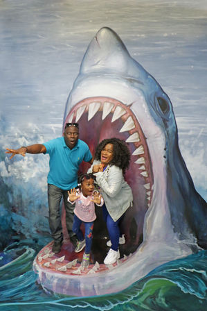 Museum of 3D Illusions: Museum, Plate Smashing & More image 7