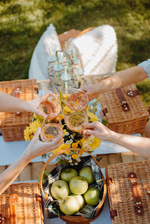 Luxury Insta-Worthy Picnics: Picnic Set-Up, Small Gatherings & Decor (BYOB) image 6