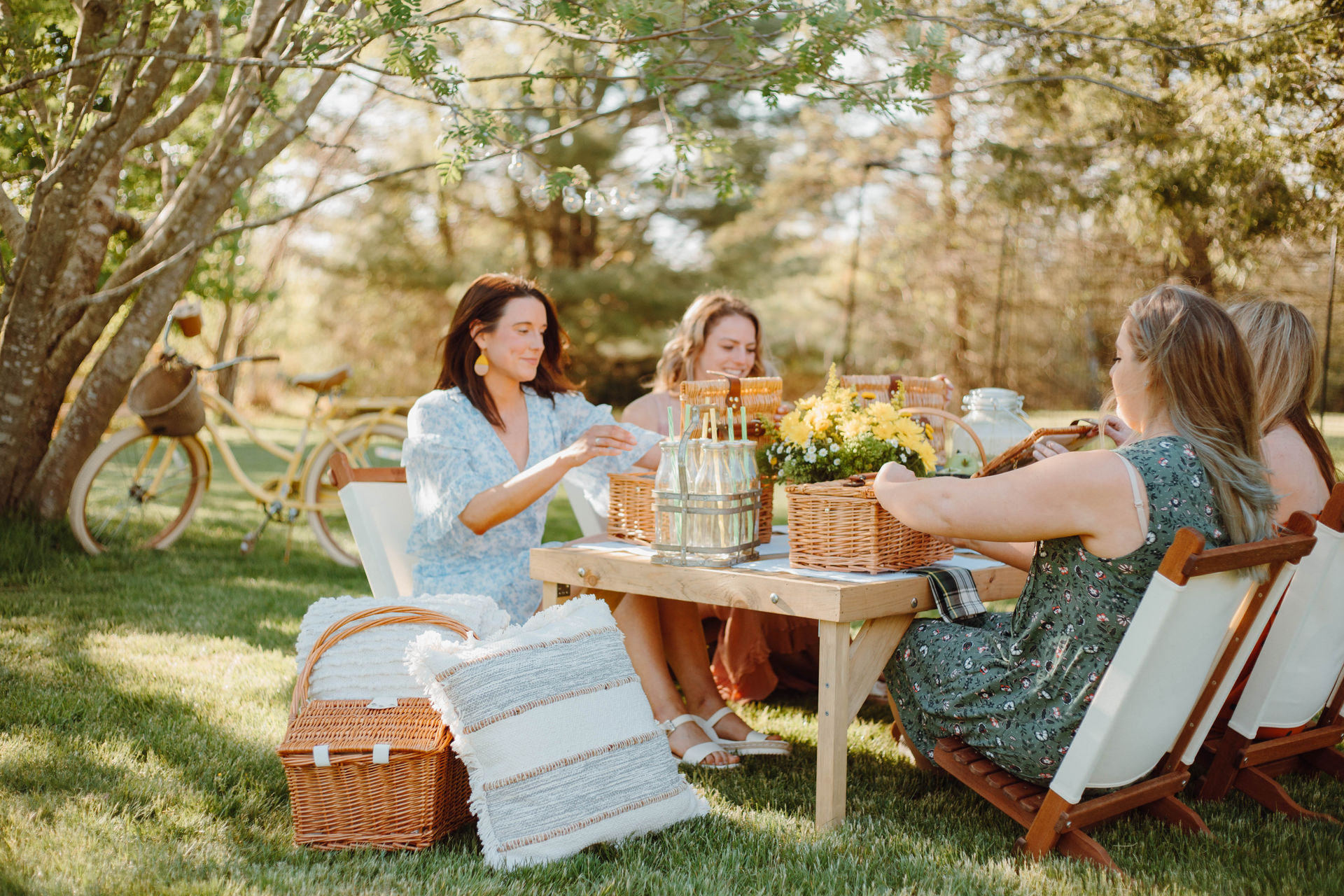 Luxury Insta-Worthy Picnics: Picnic Set-Up, Small Gatherings & Decor (BYOB) image 1