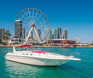 Last Fling Bachelorette Yacht Party: 50 Ft Sea Ray  image 11