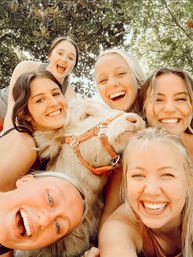 Adorable Farm BYOB Experiences: Goat Yoga, Candle-Making, Succulent Flower Crowns with Goats & Highland Cows image