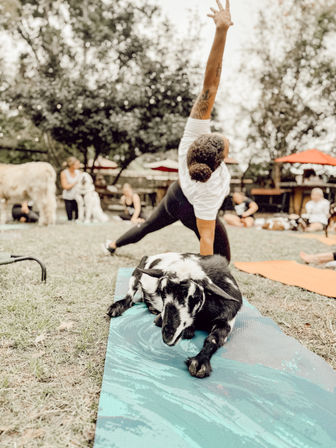 Adorable Farm BYOB Experiences: Goat Yoga, Candle-Making, Succulent Flower Crowns with Goats & Highland Cows image 30