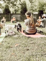 Adorable Farm BYOB Experiences: Goat Yoga, Candle-Making, Succulent Flower Crowns with Goats & Highland Cows image 3