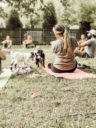 Adorable Goat BYOB Package: Goat Yoga, Candle-Making, Roasting Marshmallow All With Baby Goats image 2