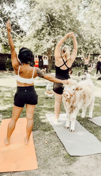 Adorable Farm BYOB Experiences: Goat Yoga, Candle-Making, Succulent Flower Crowns with Goats & Highland Cows image 32
