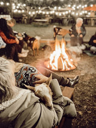 Adorable Farm BYOB Experiences: Goat Yoga, Candle-Making, Succulent Flower Crowns with Goats & Highland Cows image 27