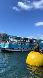 Paddle Pub Party Cruise: Drinks, Dancing, and Games (Up To 26 Guests) image 9