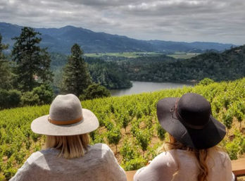 Napa Native Private Wine Tour: Luxury SUV or Sprinter image 8