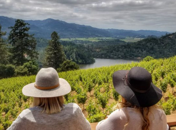 Napa Native Private Wine Tour: Luxury SUV or Sprinter image 8