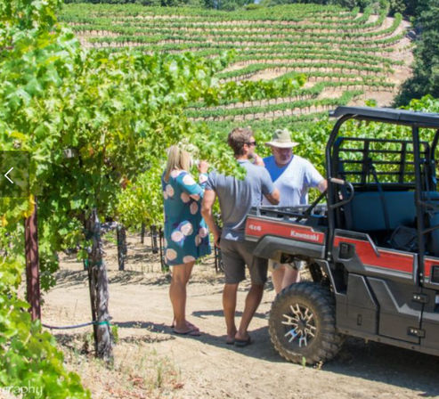 Napa Native Private Wine Tour: Luxury SUV or Sprinter image 12