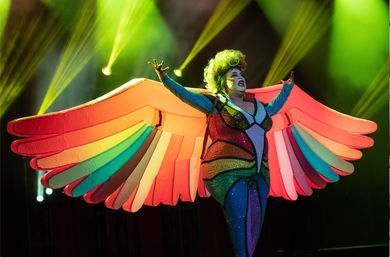 Book Ultimate Drag Queen Party: Bingo, Trivia, Murder Mystery, Naughty Cookie Decorating & More image 6