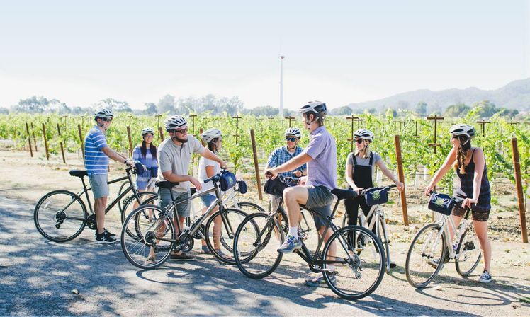 Private Napa Valley Bike Tour with Wine Country Picnic image 2