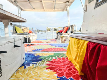 Sun-Soaked Afternoon Bay Cruise: BYOB Party Boat Experience with Captain & Crew image 4