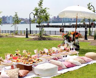 Private Customizable Luxury Picnic Experience with Optional Grazing Board, Mimosa Bar & More image 18