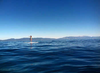 Paddle & Play: Scenic Kayak and Paddleboard Rentals on Lake Tahoe image 3