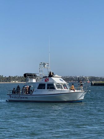 Private San Diego Yacht Party: BYO Food, Drinks & Fun (21 Guests) image 10