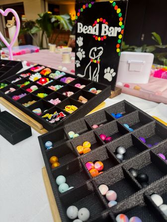 Design Matching Accessories for You and Your Pup image 12