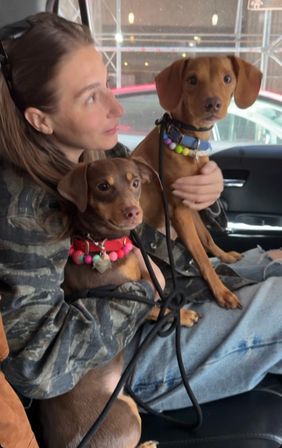 Design Matching Accessories for You and Your Pup image 8