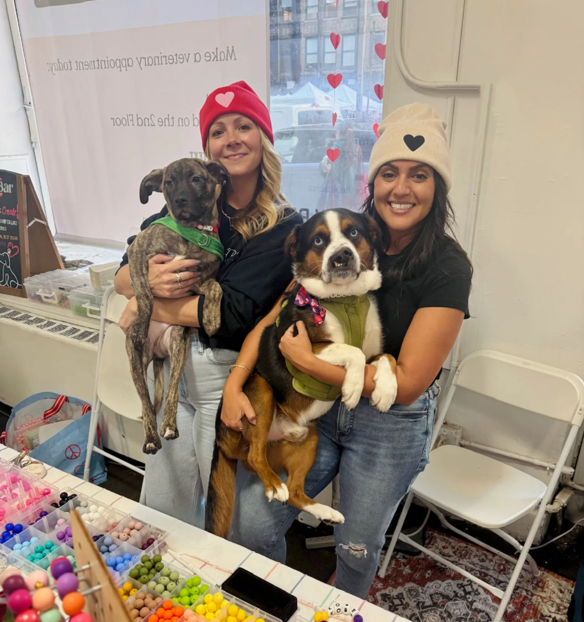 Design Matching Accessories for You and Your Pup image 1