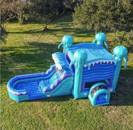Dreamy Bounce Houses: Bring a Sprinkle of Magic to Your Event image 3