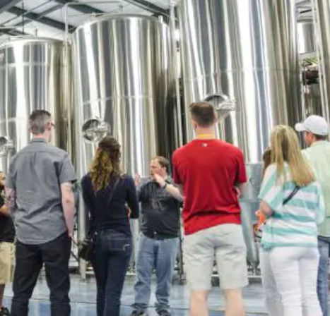 The Original Brew Tour image 4