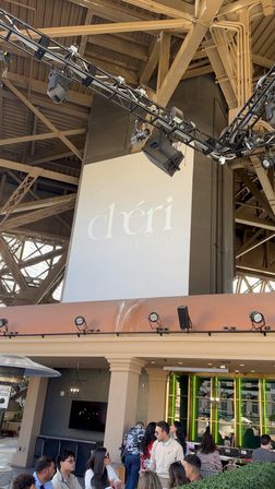 Chéri Encore Package: Brunch, Limo & Pool Party image 13