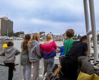Sunset Sails & Chill Vibes: BYOB Party Boat with Captain & Crew image 16