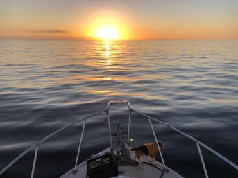 Sunset Sails & Chill Vibes: BYOB Party Boat with Captain & Crew image 7