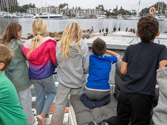 Sunset Sails & Chill Vibes: BYOB Party Boat with Captain & Crew image 17