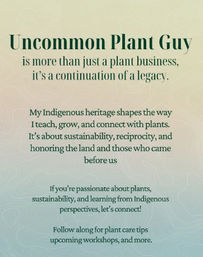 Sip, Pot & Party with Uncommon Plant Guy image 9