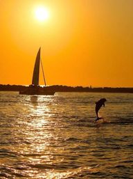 The Ultimate Dolphin Spotting Cruise in Destin image