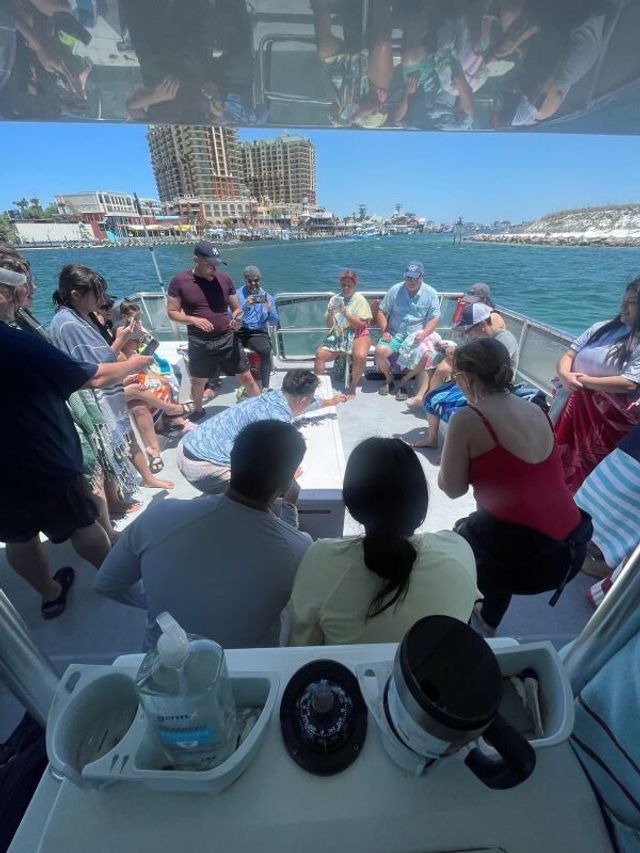 The Ultimate Dolphin Spotting Cruise in Destin image 4