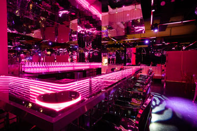 Step Into a World of Immersive Art at Sweet Tooth Hotel image 3