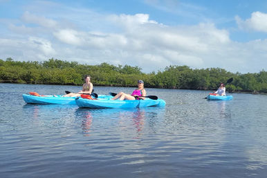 Dolphin and Manatee Adventure Tour (New Smyrna/Daytona Beach) image