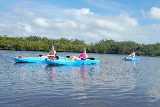 Dolphin and Manatee Adventure Tour (New Smyrna/Daytona Beach) image 1