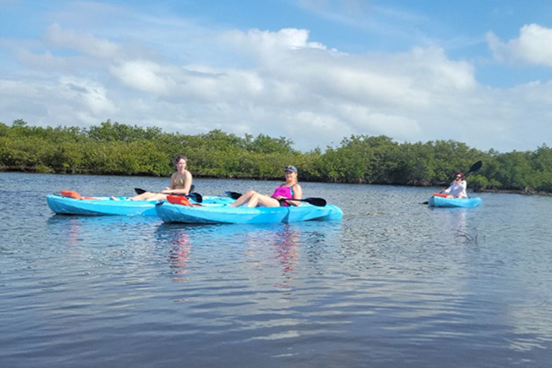 Dolphin and Manatee Adventure Tour (New Smyrna/Daytona Beach) image 1