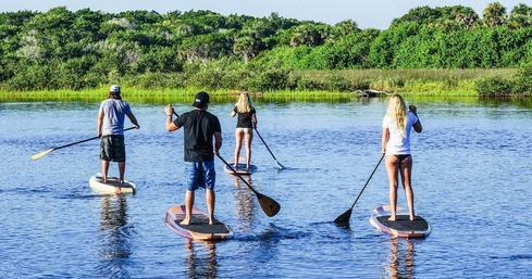 Dolphin and Manatee Adventure Tour (New Smyrna/Daytona Beach) image 5