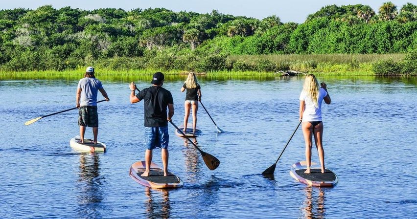 Dolphin and Manatee Adventure Tour (New Smyrna/Daytona Beach) image 5