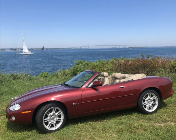 Wine Tasting Tour in Chauffeured Classic Jaguar Motorcars with an Optional Gourmet Picnic (BYOB) image 13