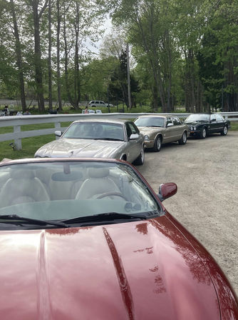 Wine Tasting Tour in Chauffeured Classic Jaguar Motorcars with an Optional Gourmet Picnic (BYOB) image 15