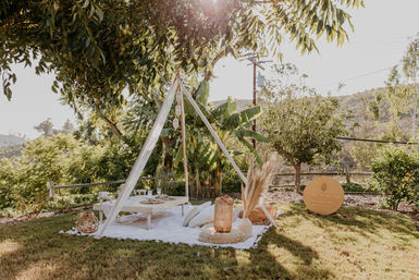 Boho Bliss Luxury Picnic Experience & All-Inclusive Decor Setup image 11