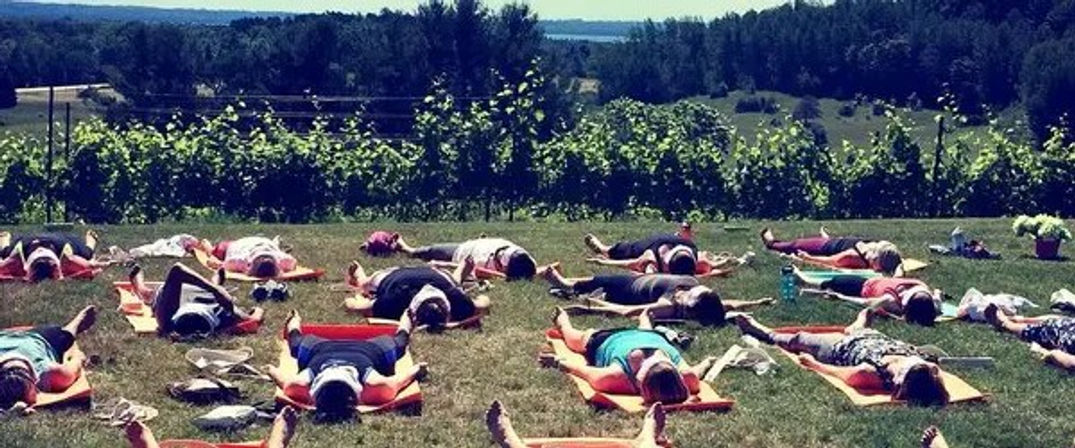 Napa Native Yoga in the Vineyards Experience image 5