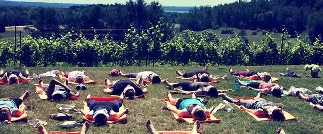 Napa Native Yoga in the Vineyards Experience image 3