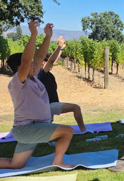 Napa Native Yoga in the Vineyards Experience image 4