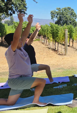 Napa Native Yoga in the Vineyards Experience image 4