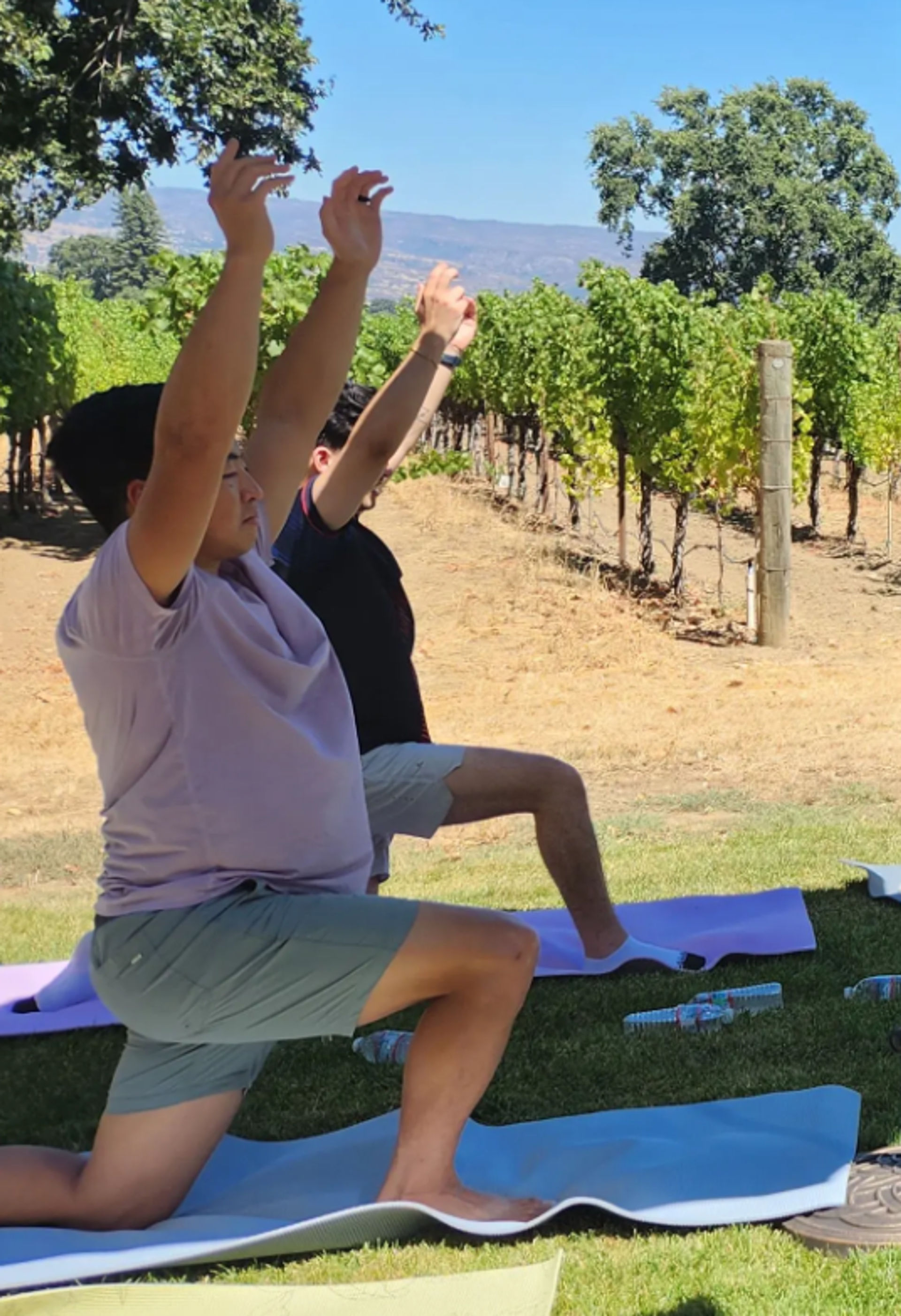 Napa Native Yoga in the Vineyards Experience image 2